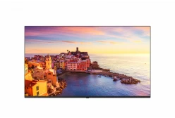 Коммерческий телевизор LG 43